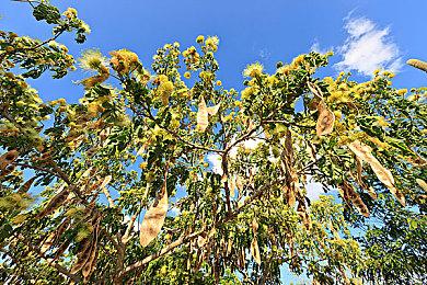 专注2.0 初代《使命召唤：战区》将于9月21日停服