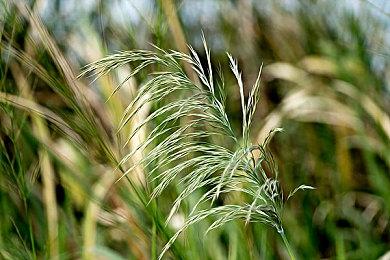 《Concord》将会提供商城道具 但仅限装饰性物品